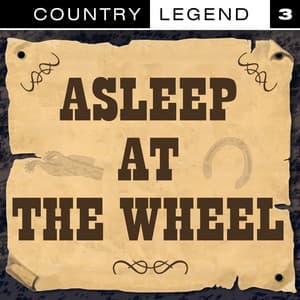 Album: Country Legend Vol.3
