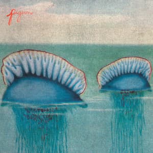 Single: Buoy