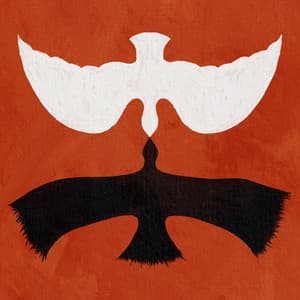 Single: Dark Bird (St. Lucia Remix)