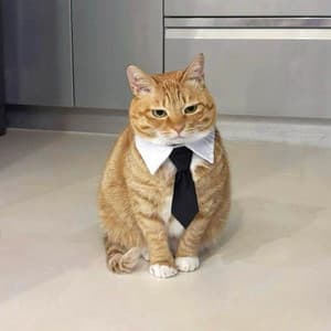 Single: I Like Me Better