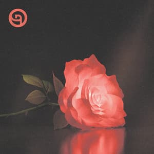 Single: Me Caes Muy Bien