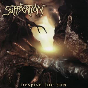 Single: Despise the Sun