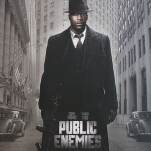 Album: Public Enemies