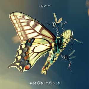 Album: ISAM