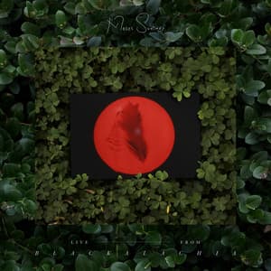 Album: Live From Blackalachia