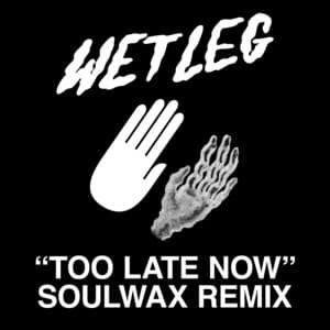 Single: Too Late Now (Soulwax Remix)