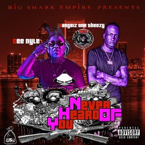 Single: Never Heard of You