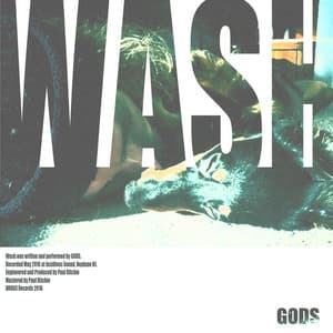 Single: Wash