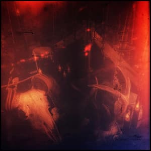 Album: Pull Me Toward the Dark