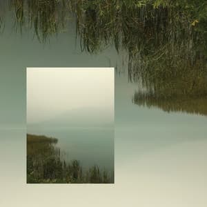 Album: Bioluminescence