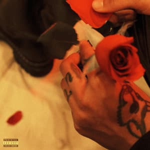 Album: LEAVE BEHIND WHAT YOU LOVE (Collection)