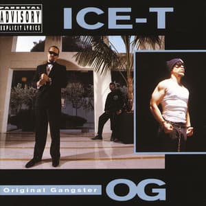 Album: O.G. Original Gangster