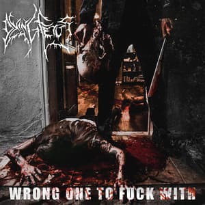 Album: Wrong One to Fuck With