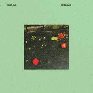 Album: Fifteen Days