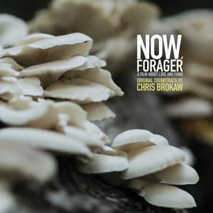 Album: Now, Forager (Original Motion Picture Soundtrack)