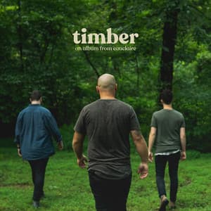 Album: Timber