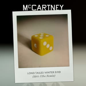 Single: Long Tailed Winter Bird (Idris Elba Remix)