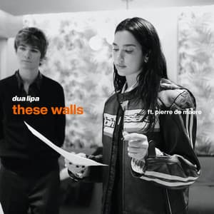 Single: These Walls (feat. Pierre de Maere)