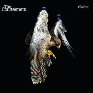 Album: Falcon