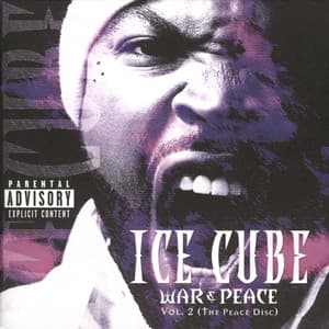 Album: War & Peace Vol. 2 (The Peace Disc)