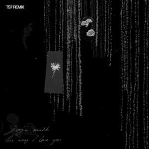Single: The Way I Love You (TS7 Remix)