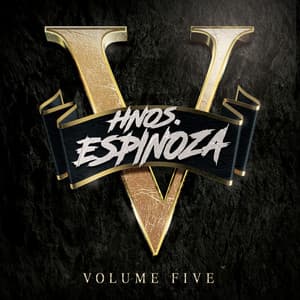 Album: HNOS ESPINOZA, VOL. 5