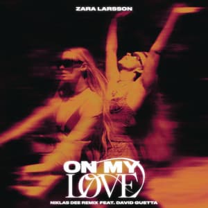 Single: On My Love (feat. David Guetta) [Niklas Dee Remix]