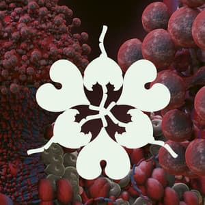 Single: Ovule (feat. Shygirl) [Sega Bodega Remix]