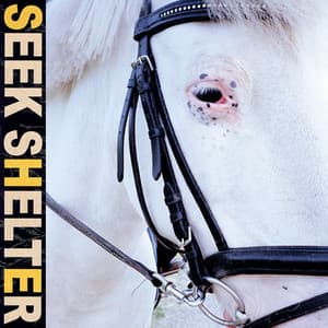 Album: Seek Shelter