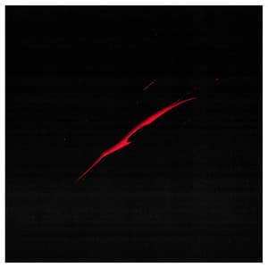 Single: System Error