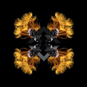 Single: 10 Breaths (Francis Mercier Remix)