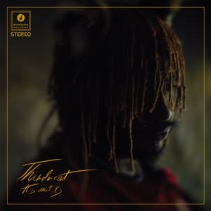 Album: It Is What It Is
