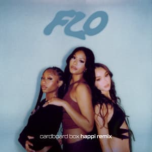 Single: Cardboard Box (Happi Remix)