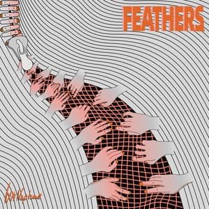 Single: Feathers