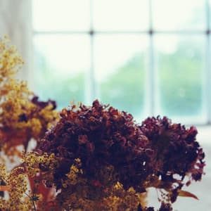 Single: Seasons