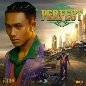 Album: PERFECT (80's)