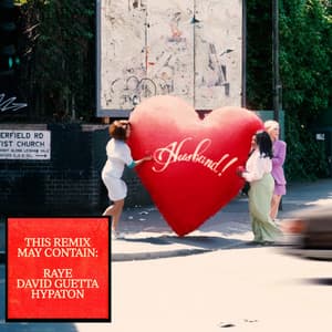 Single: WHERE IS MY HUSBAND! (Remix)