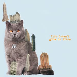 Album: Fire Doesn't Grow On Trees
