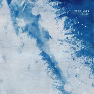 Single: Bloom