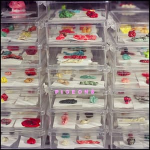 Album: They Sweetheartstammers