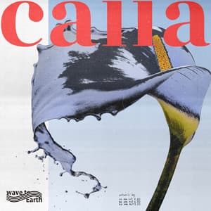 Single: calla