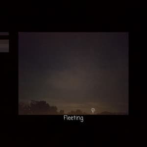 Album: Fleeting
