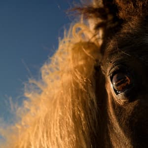 Single: I Got Heaven