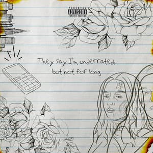 Album: They say I'm underrated, but not for long (Collection)