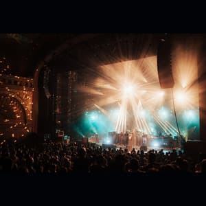 Album: MMJ Live Vol. 2: Chicago 2021