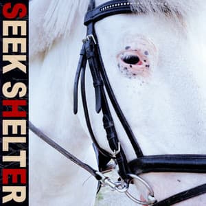 Album: Seek Shelter (Special Edition)