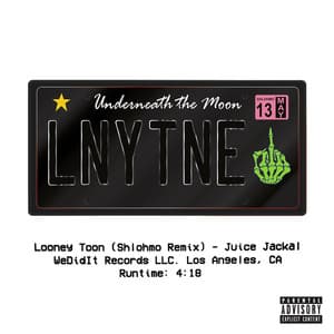 Single: Looney Toon (Shlohmo Remix)