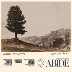 Single: Abide