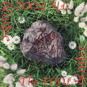 Album: The Fool