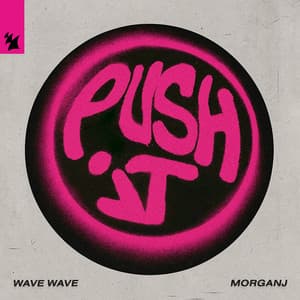 Single: Push It